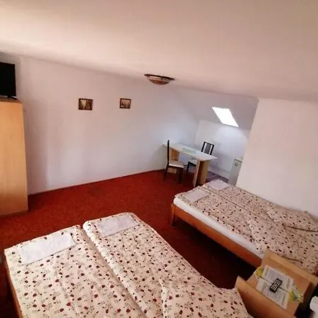 Pensiunea Eden Panzio Oda ve Kahvaltı